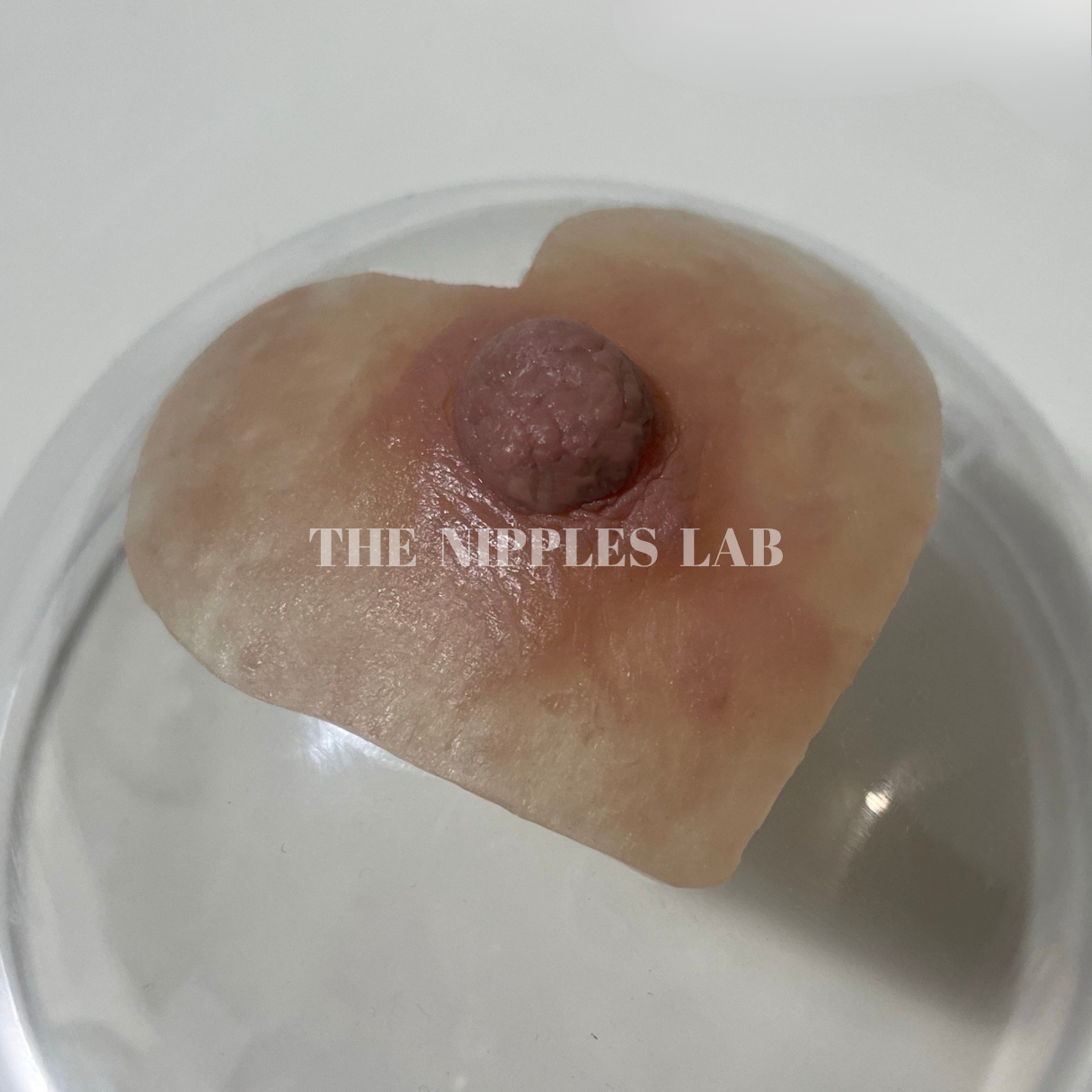 Próteses · Coleção ousada